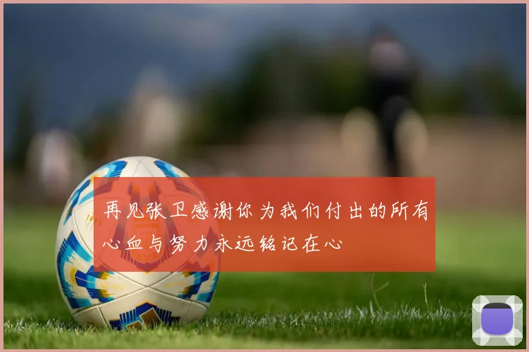 再见张卫感谢你为我们付出的所有心血与努力永远铭记在心