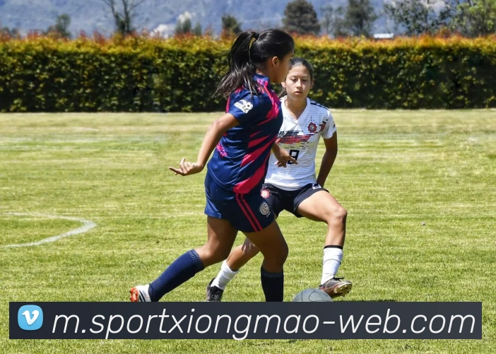 熊猫体育平台生态图