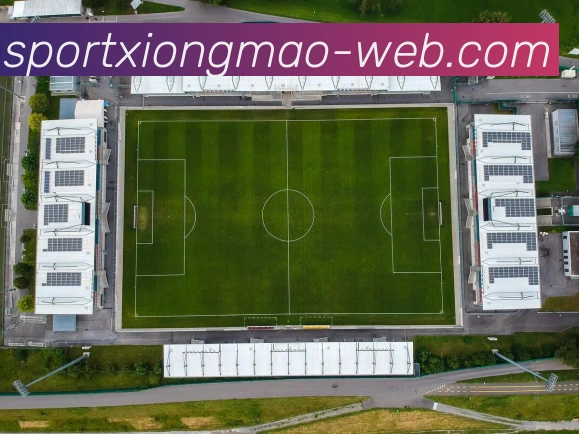 熊猫体育APP 封面图